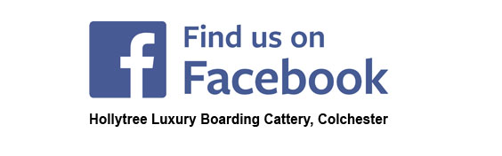Hollytree-Cattery-Facebook